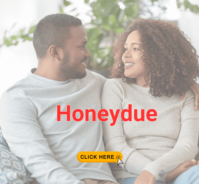 Honeydue app for couples to budget and save for travel